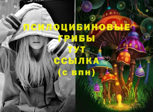 героин Абаза