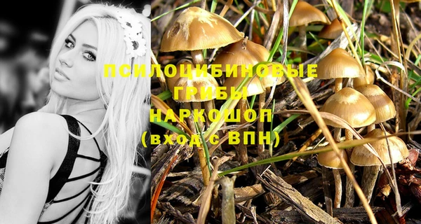 скорость Абинск